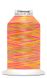 Gütermann Multicolour Bulky-Lock, Col. 9878