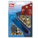 Prym Ringen met schijven, goud Ø4mm