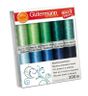Gutermann borduurgarenset 10st, col.3